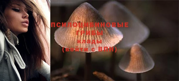 сатива Абинск